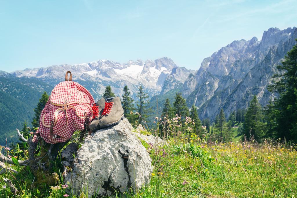 Apartment Almroeserl Edelweiss ゴーザウ エクステリア 写真